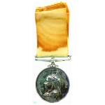 Arctic Medal, 1876