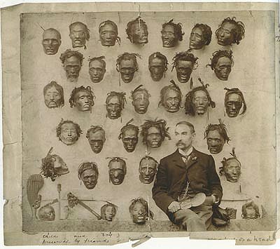 A nineteenth-century collection of preserved Maori heads that went on to form part of the Wellcome Collection