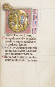 The Peterborough Psalter