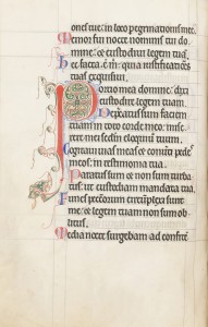 The Peterborough Psalter