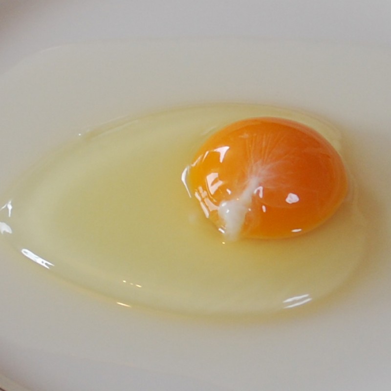 Egg glair
