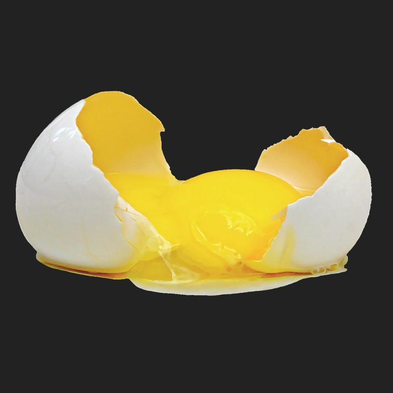 Egg yolk