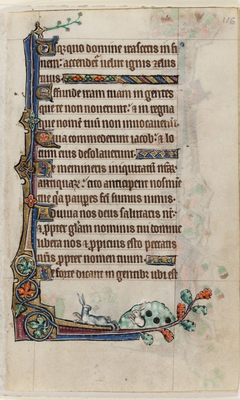 Folio 116r