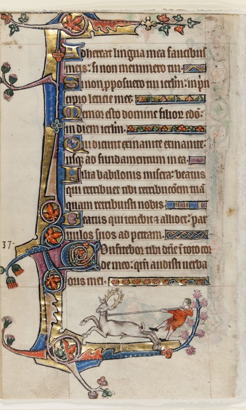 Folio 193v