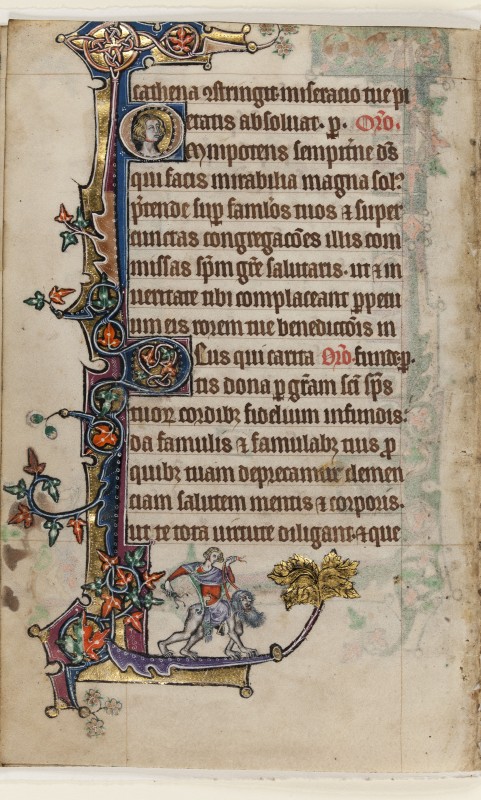 Folio 233v