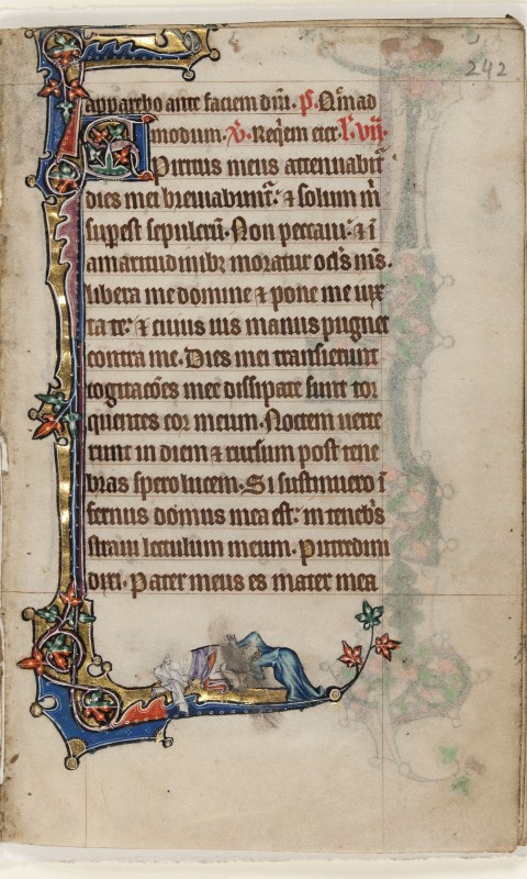 Folio 242r