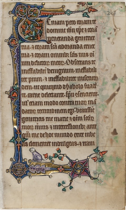 Folio 249r