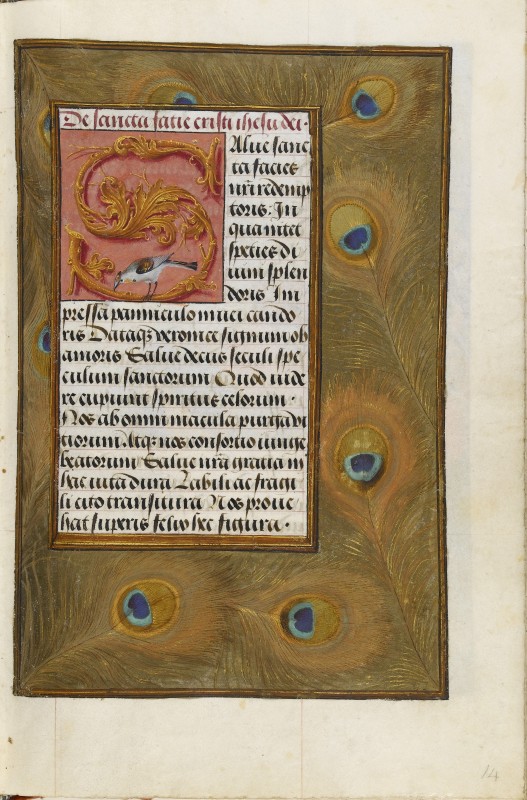 Folio 14r