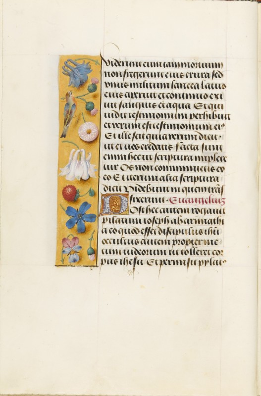 Folio 22v