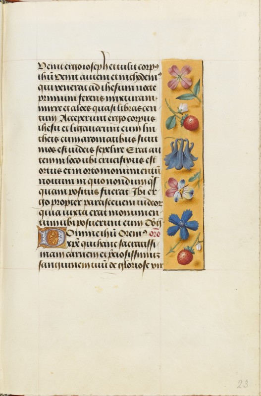 Folio 23r