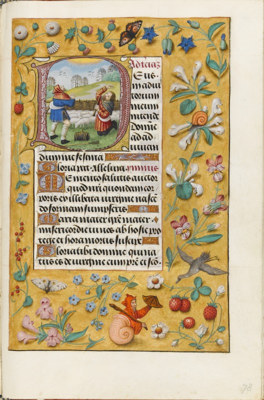 Folio 78r