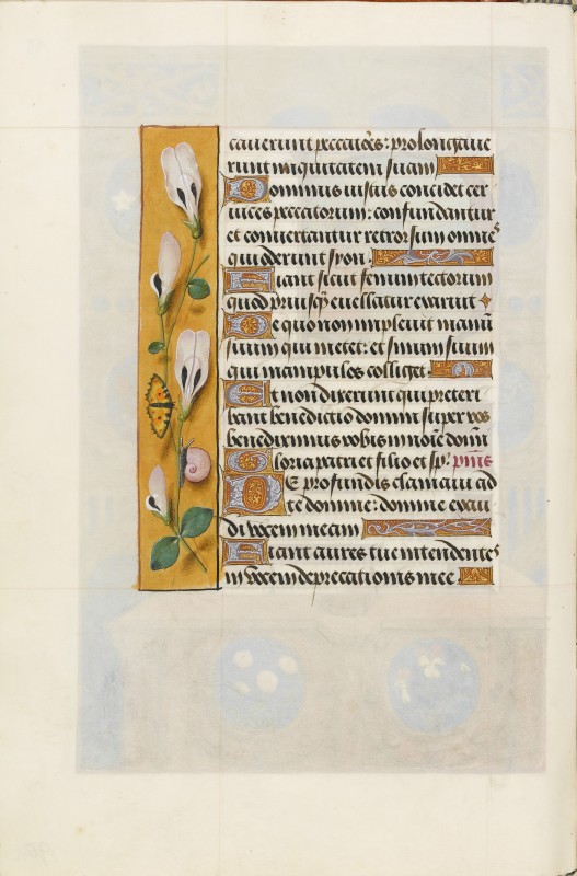 Folio 95v