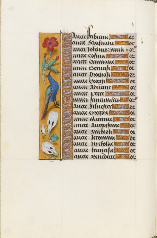 Folio 117v