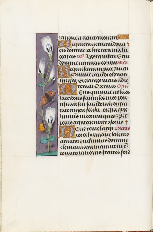Folio 128v