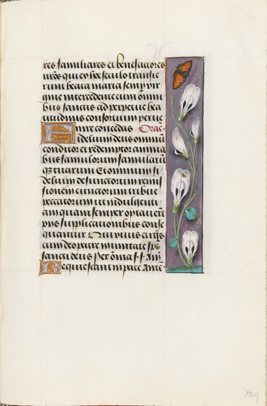 Folio 129r