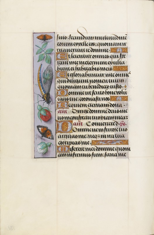 Folio 131v