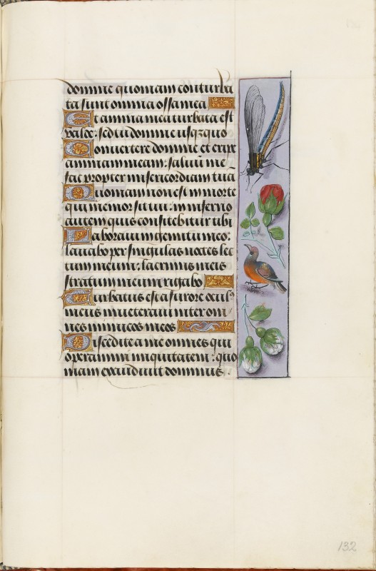 Folio 132r