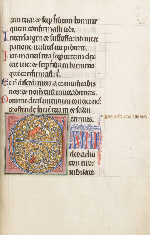 Folio 116r