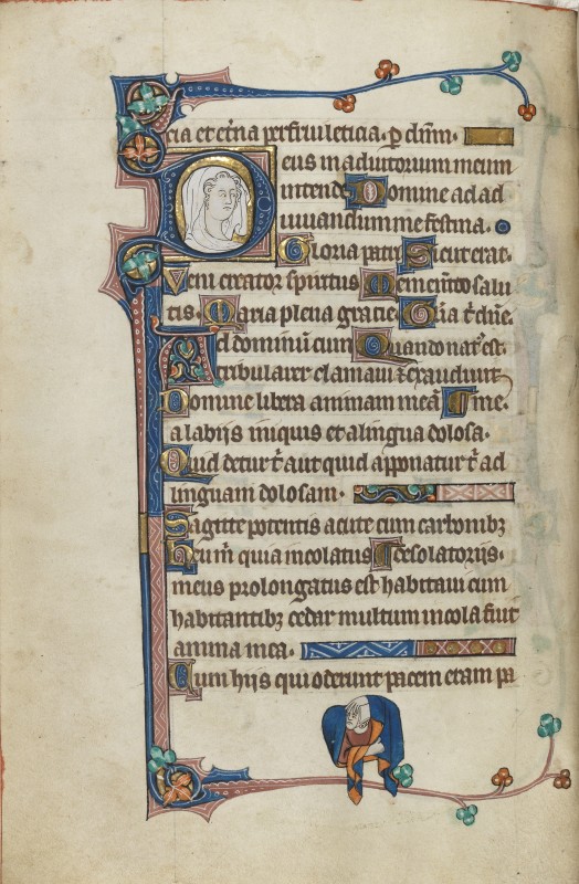 Folio 17v