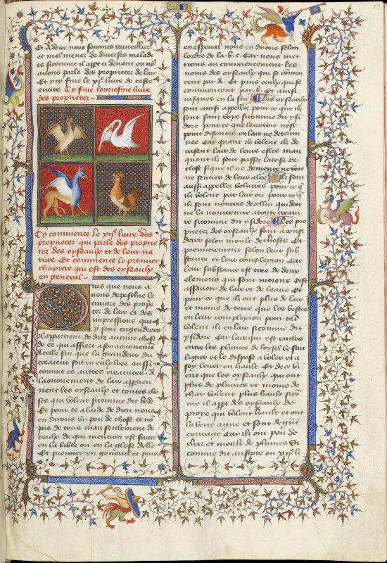 Folio 174r