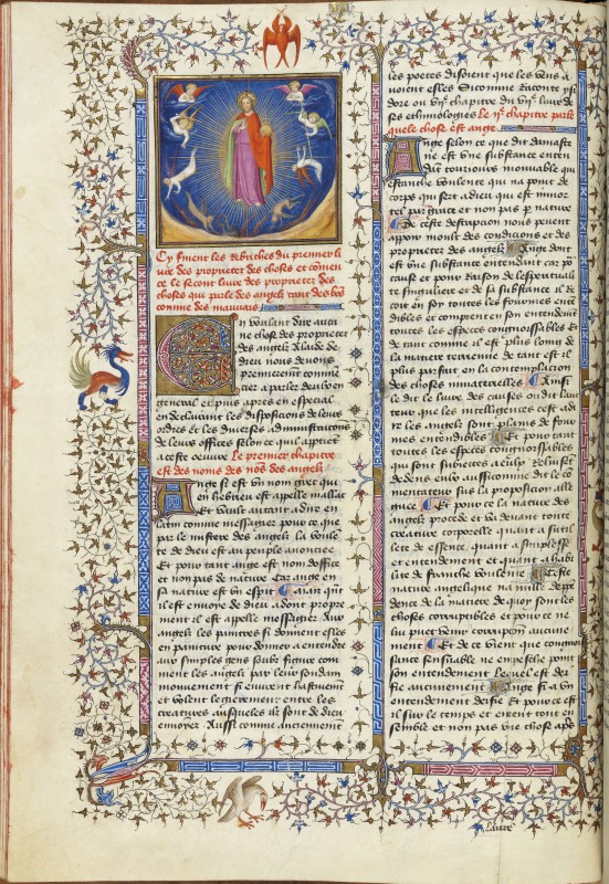 Folio 20v