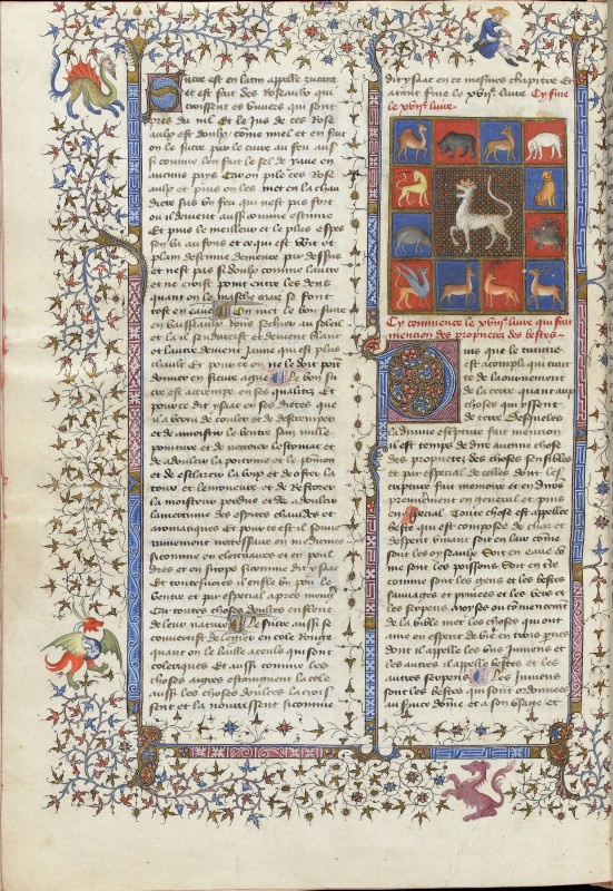 Folio 296v