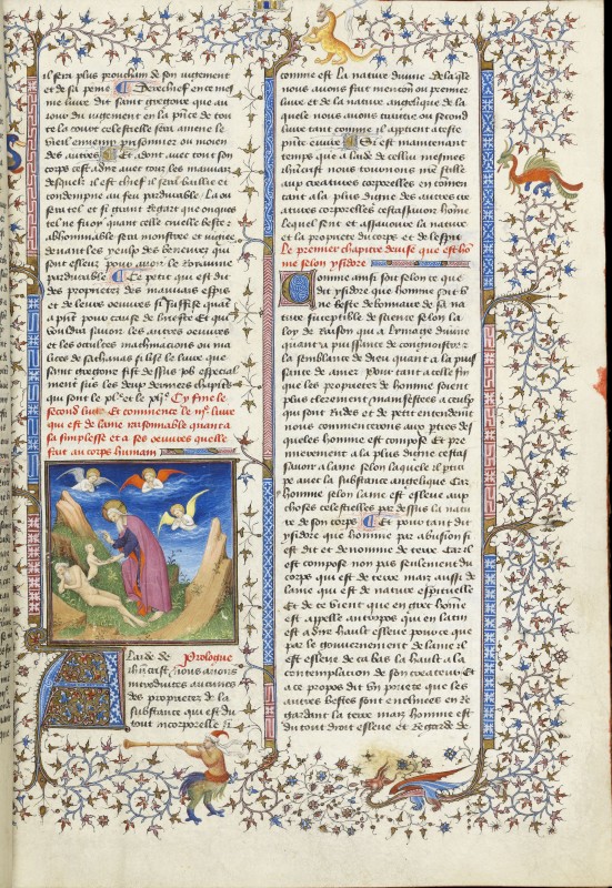 Folio 31r