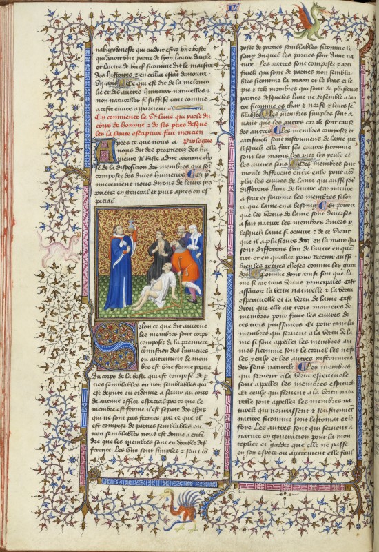 Folio 53v