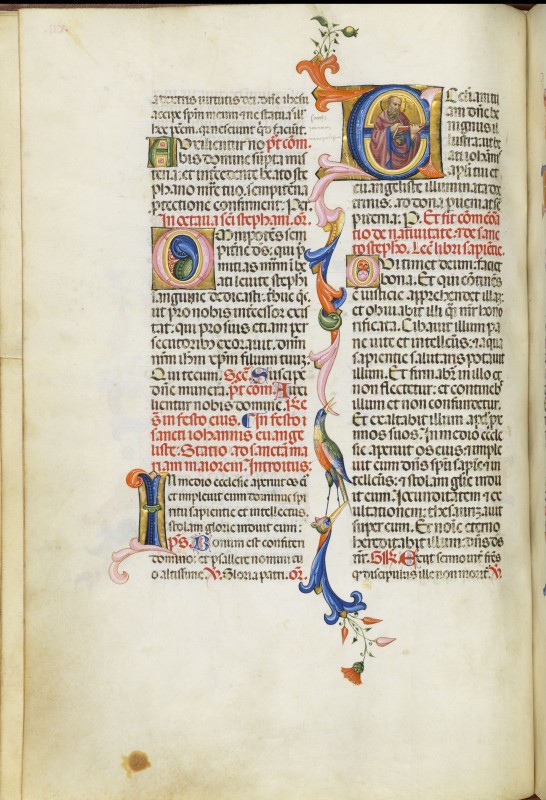 Folio 12v