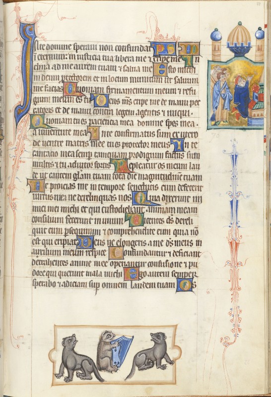 Folio 77r